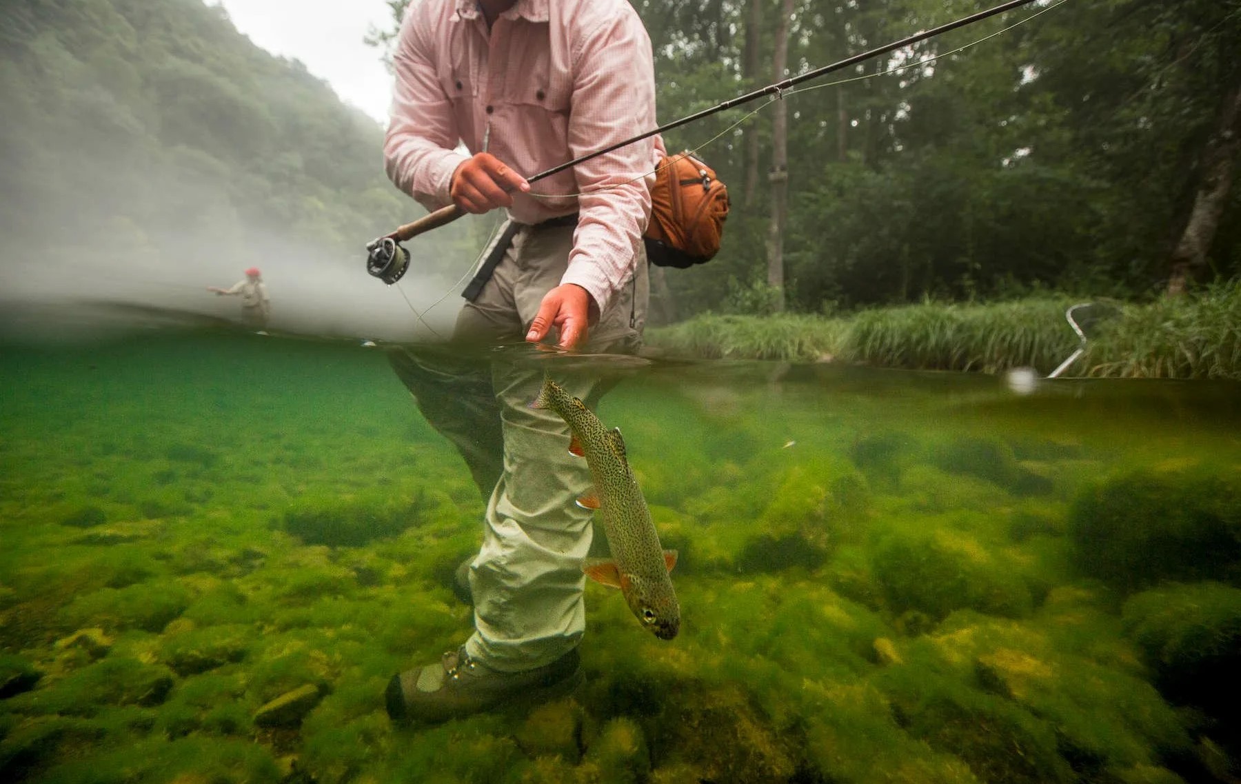 Sistema de Puntos FS